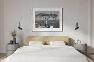 An Indian mountain road bends beneath an acacia tree beside planted slopes and wooded hills.