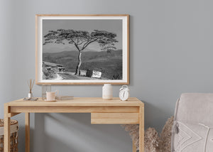 Broad tree branches shelter the edge of an Indian mountain road above small stalls.