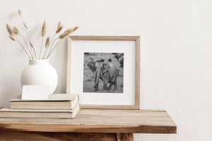 Serengeti elephant captured in natural moment