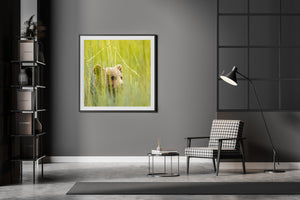 Warm brown fur contrasts with green stems surrounding an Alaska bear cub.