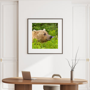 A bear’s sideways gaze appears above bright leaves and small purple flowers.