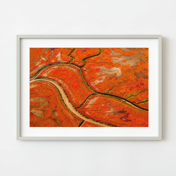 Alaskan Autumn Blaze | Wall Art