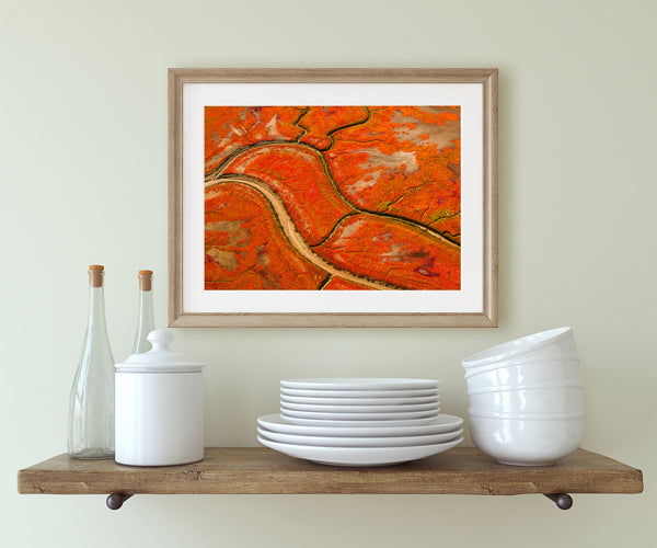 Alaskan Autumn Blaze | Wall Art