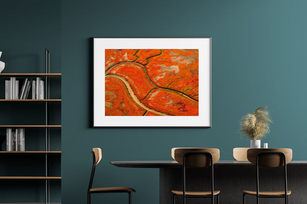 Alaskan Autumn Blaze | Wall Art