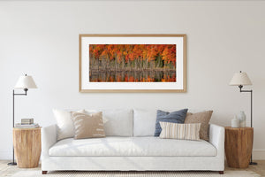 Bright autumn trees form a band above fine bare branches along the water’s edge.