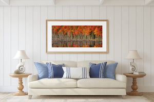 Dark evergreen patches interrupt vivid autumn foliage above reflected bare trunks.