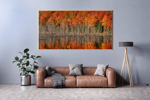 Slender shoreline trees stand before an orange canopy mirrored in calm water.