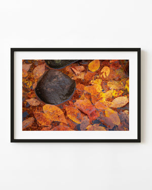 Orange and yellow autumn leaves gathered around dark rounded stones in an Algonquin stream.