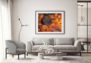 A broad dark stone contrasts with gold, orange and red leaves in shallow water.