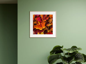 A large orange leaf crosses darker red leaves with small yellow shapes between them.