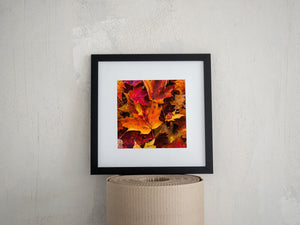 Red and gold leaves overlap edge to edge in a detailed autumn close-up.