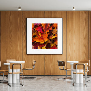 Close square photograph of autumn leaf textures in rich orange, red and gold.