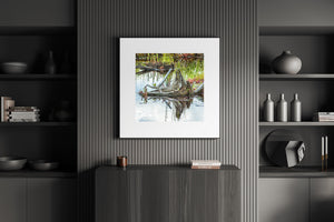 Flowing wood grain and jagged stump edges appear amid plants at an Algonquin swamp edge.