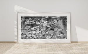 A small bullfrog head rises above smooth water beside patterned pond leaves.