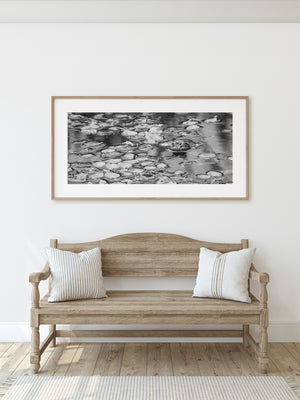 Black and white pond detail contrasting marked frog skin, leaf surfaces and water reflections.