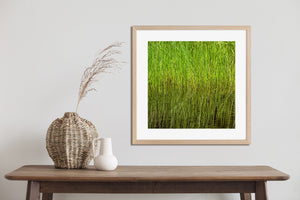 Yellow-green highlights and deeper olive tones form an abstract wetland pattern.