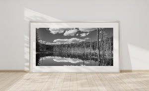 Wide black and white swamp photograph with bare trees and clouds mirrored in water.