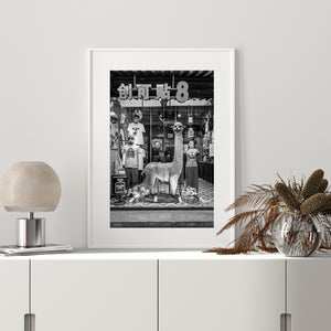 Monochrome Beijing storefront photograph with a long-necked alpaca sculpture at its centre.