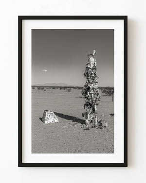 Amboy’s decorated Trash Tree stands against an open desert horizon along Route 66 in monochrome.