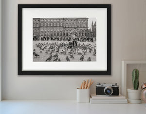 Pigeons spread across the foreground beneath the palace windows at Dam Square.