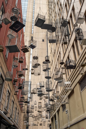 Forgotten Songs art exhibit Sydney