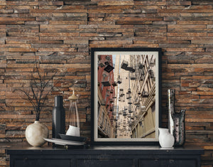 Sydney's tribute to native birds photo