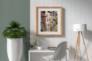 Urban art Sydney birdcage display