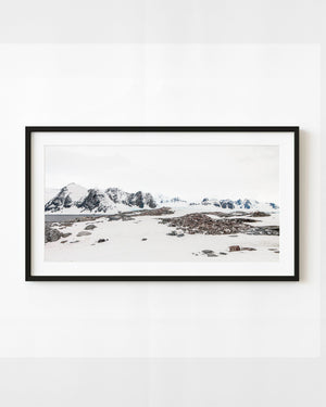 Gentoo penguins nest on exposed Antarctic rocks beneath distant mountains and broad snowfields.