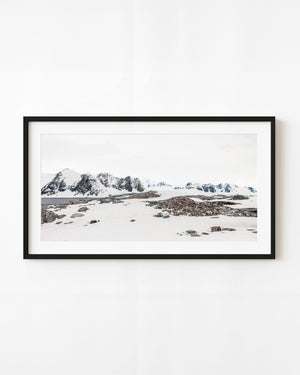 Gentoo penguins nest on exposed Antarctic rocks beneath distant mountains and broad snowfields.