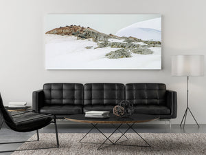 Brown Antarctic rock outcrops surrounded by snow and small penguins.