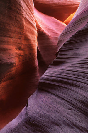 Warm orange light and purple shadows between curved Antelope Canyon walls.