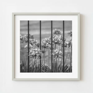 Black and white botanical flowers behind vertical iron bars