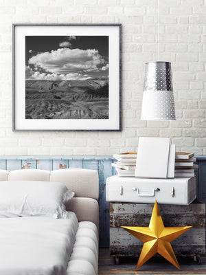 De zwart-witte woestijn van Arizona Fine Art