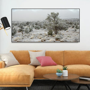 Muted green foliage and patches of earth remain visible beneath Arizona winter snow.