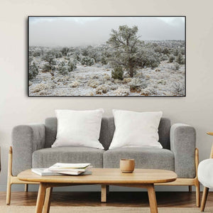 A broad Arizona winter view with snowy branches, open ground and distant woodland.