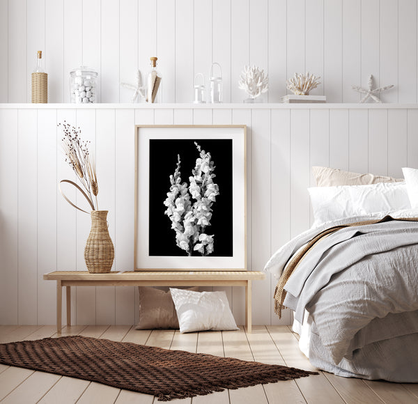 Close-up of snapdragons in black and white – floral wall art