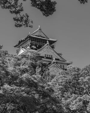 Japanese castle fine art photography print