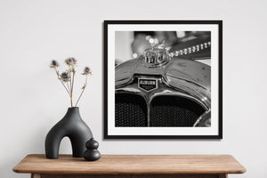 Auburn radiator grille and logo close-up photo