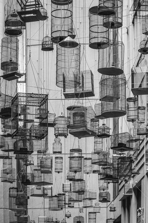 Urban birdcage art installation suspended above a Sydney laneway
