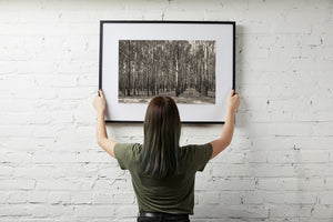 Monochrome forest photograph of slender trunks receding into denser woodland behind.