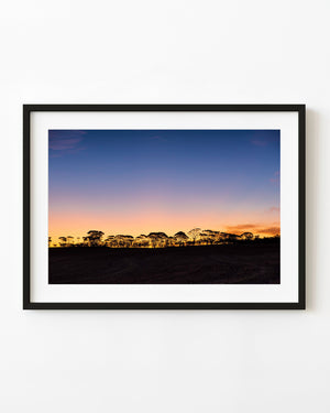 Tree silhouettes line the Australian outback horizon beneath an orange-to-blue sunset sky.