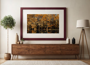 Copper foliage and shaded cypress trunks form layers above golden water reflections.