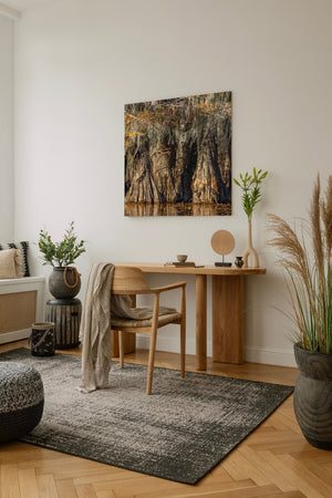 Long moss strands hang between cypress trees with small patches of gold and orange foliage.