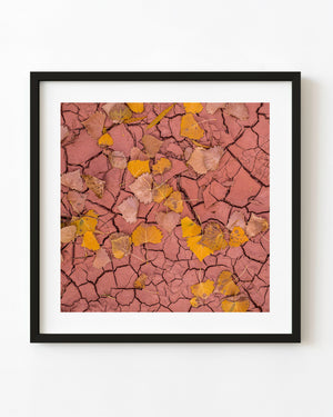 Yellow autumn leaves lie on cracked rose-coloured clay in a dried Utah desert riverbed.