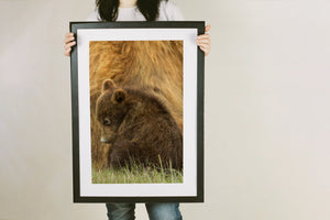 wildlife photograph of bear family moment