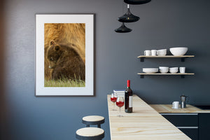intimate animal portrait of bear cub in nature