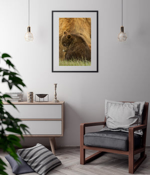 natural wildlife scene featuring mother and baby bear