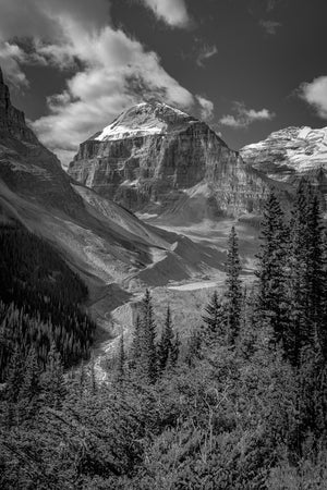 Bright summit snow contrasts with layered rock and foreground trees on Banff’s Plain of Six Glaciers trail.