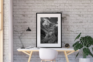 Monochrome Alberta wilderness photograph showing close trees beneath a distant snowcapped Banff peak.