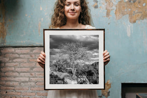 Lifeless tree in Monument Valley with dark clouds